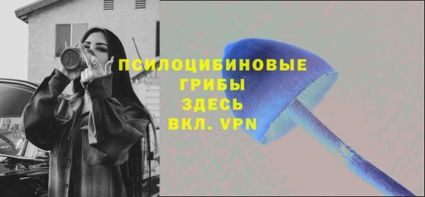 хмурый Алексеевка