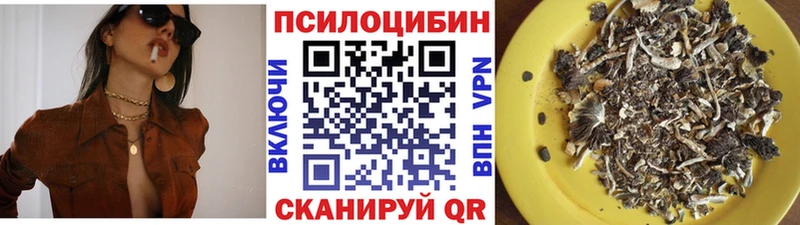 Псилоцибиновые грибы Psilocybine cubensis  Петушки 