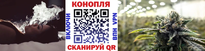 закладки Петушки нарко площадка какой сайт Марихуана ГИДРОПОН